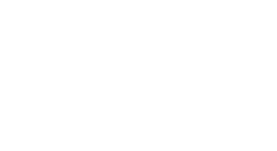 Werdermann eLearning Inc. - Where your vision takes flight
